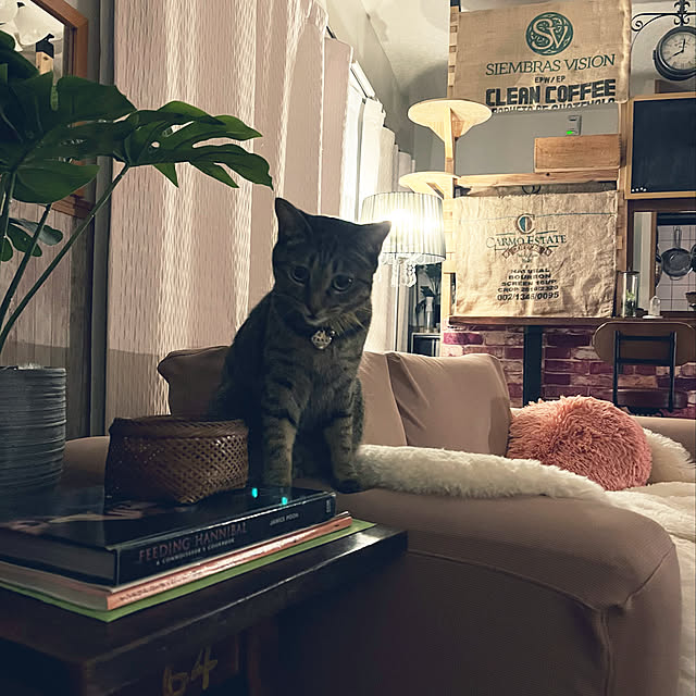 Mさんの実例写真