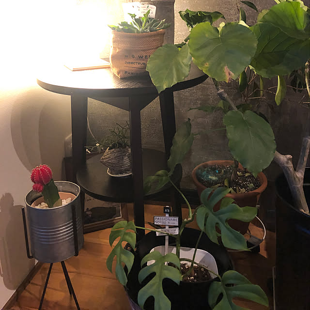 fgtomatoes0560さんの実例写真