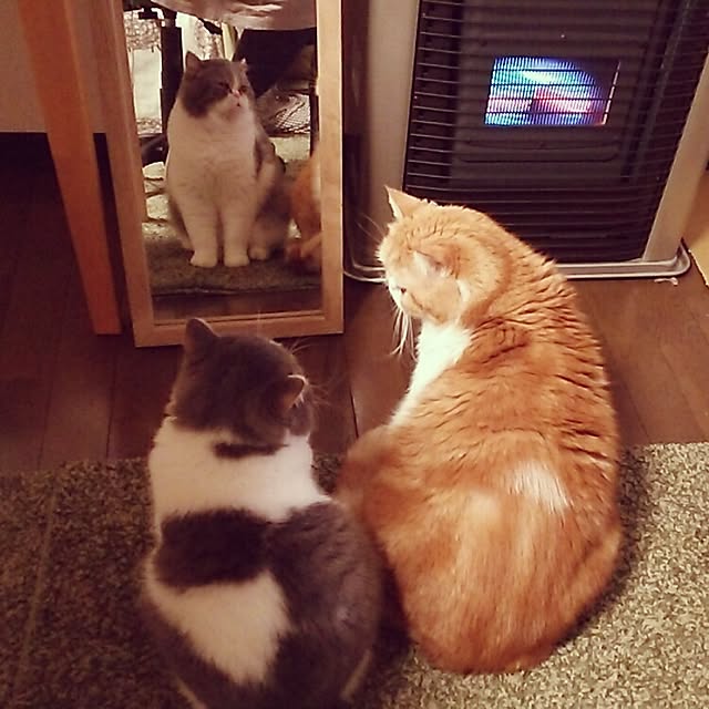 otoさんの実例写真