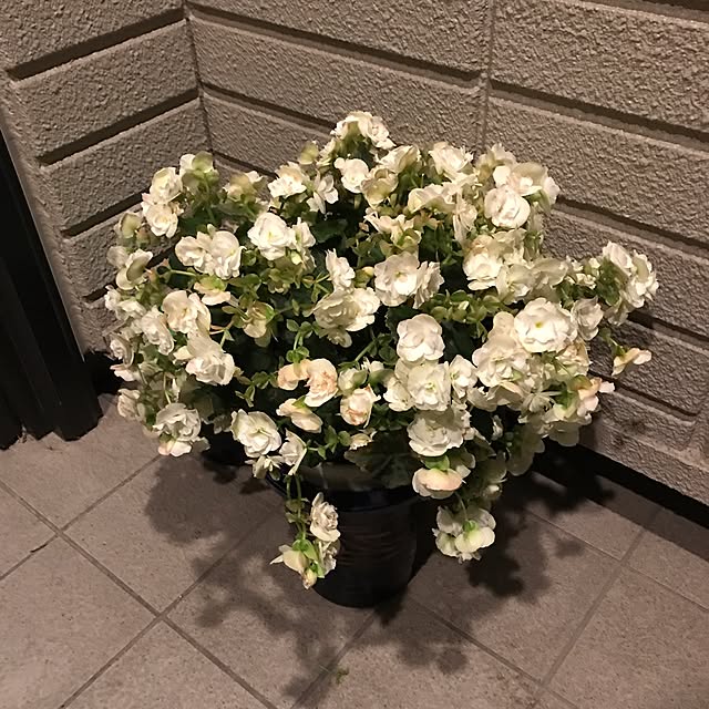 Masashiさんの実例写真