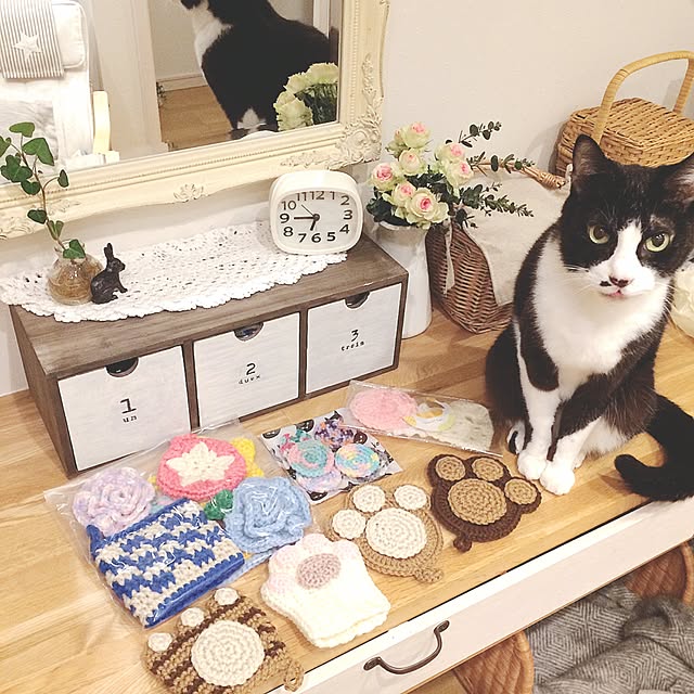 lovecatさんの実例写真