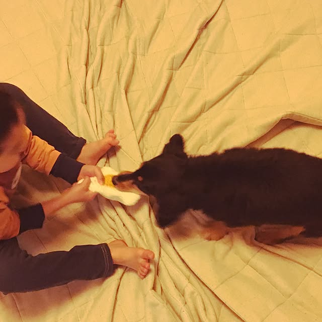 ohanaさんの実例写真