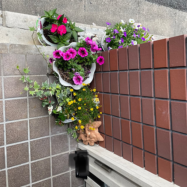thiju777さんの実例写真