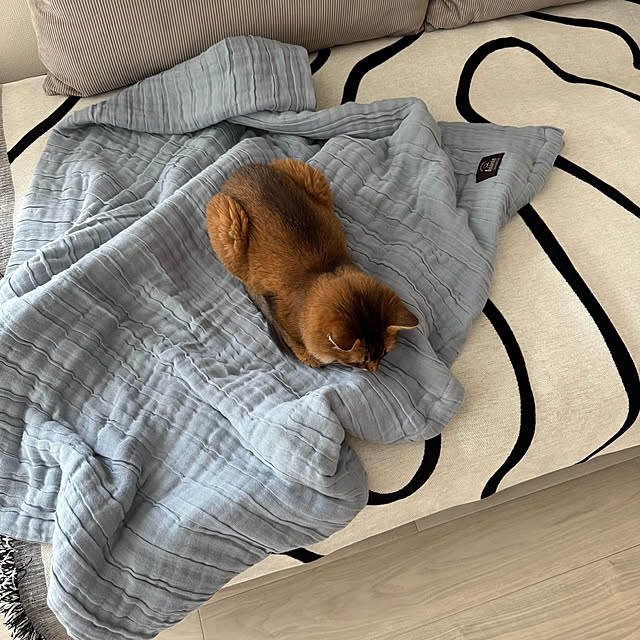 yuri.sさんの部屋