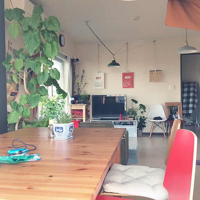 実例写真