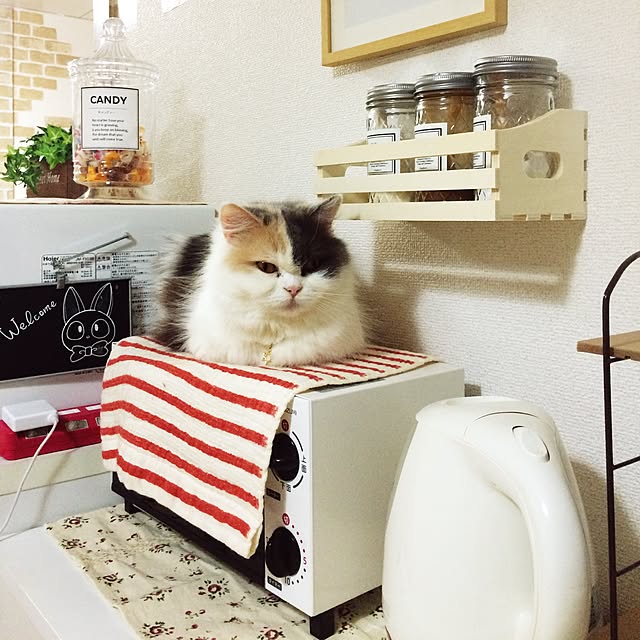mikaさんの実例写真