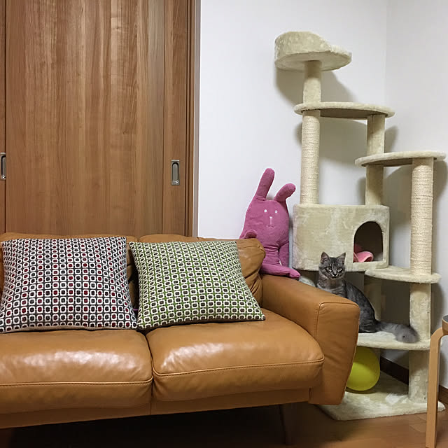 manak5296さんの実例写真