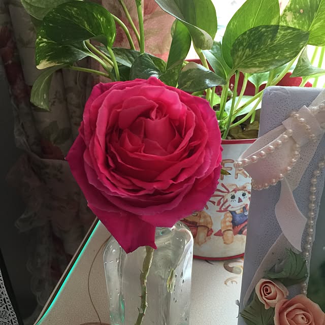 angelrose.yuuさんの実例写真