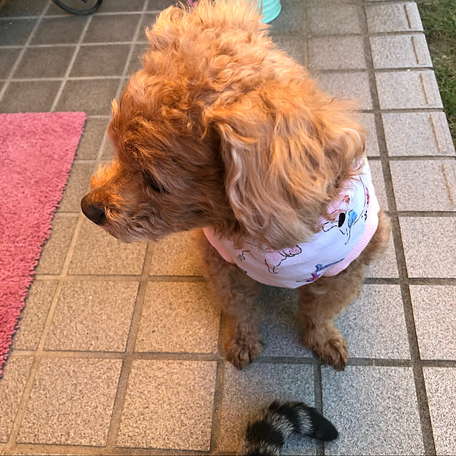 haruminさんの実例写真