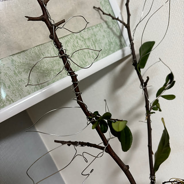 syutmmさんの部屋