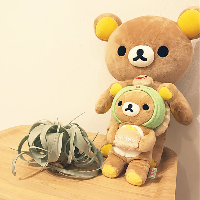 kokonyanさんの実例写真