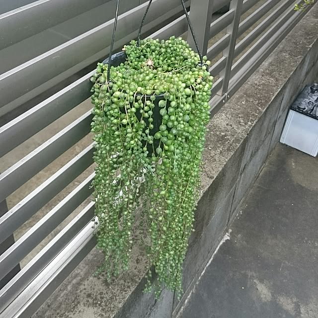 hideさんの実例写真