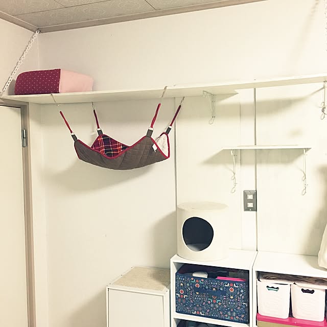 nekoyonさんの実例写真
