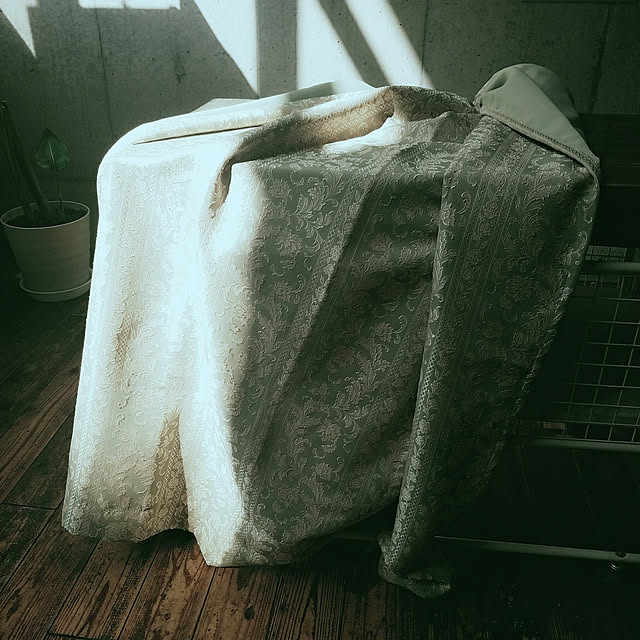 oMoさんの実例写真