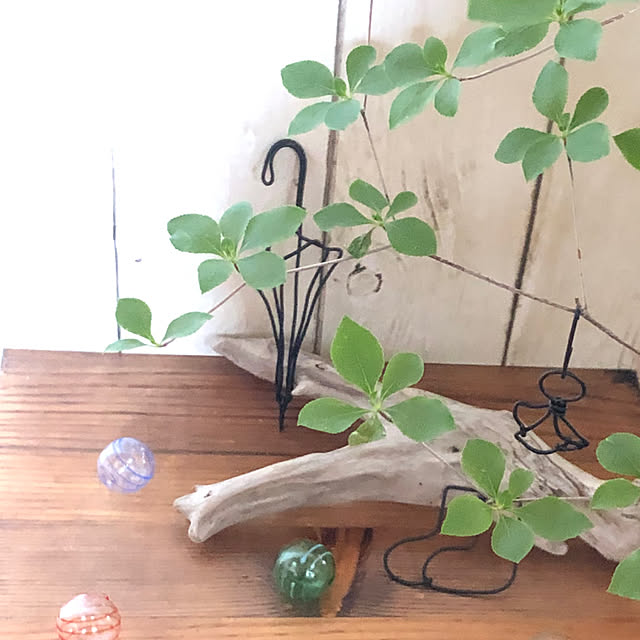 yukkoさんの部屋