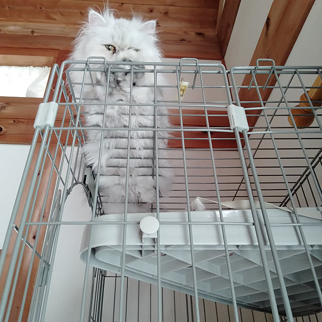 makaronさんの実例写真