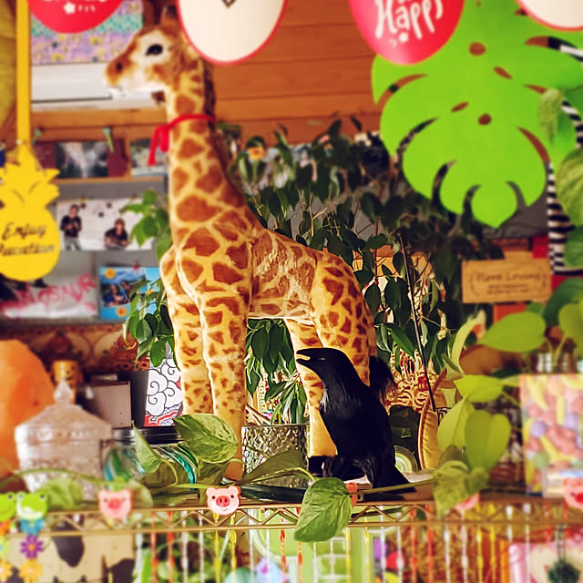 kumutanさんの実例写真