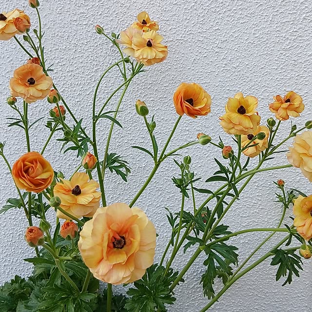 tomomiさんの部屋