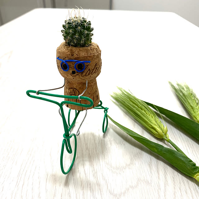 ayashigeさんの実例写真
