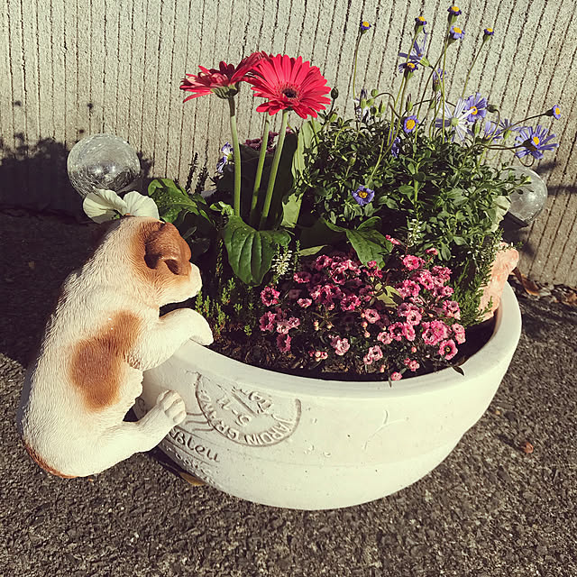 papaさんの実例写真
