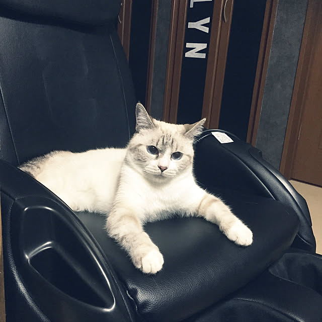 atsu31さんの実例写真