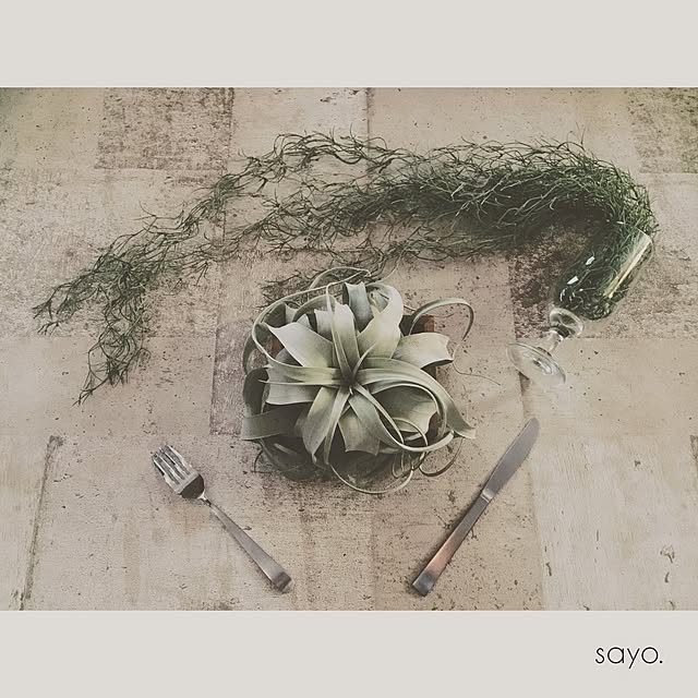 sayo.さんの実例写真