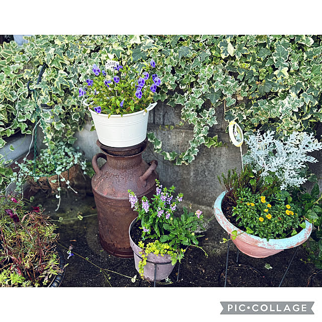 CoCo0617さんの部屋