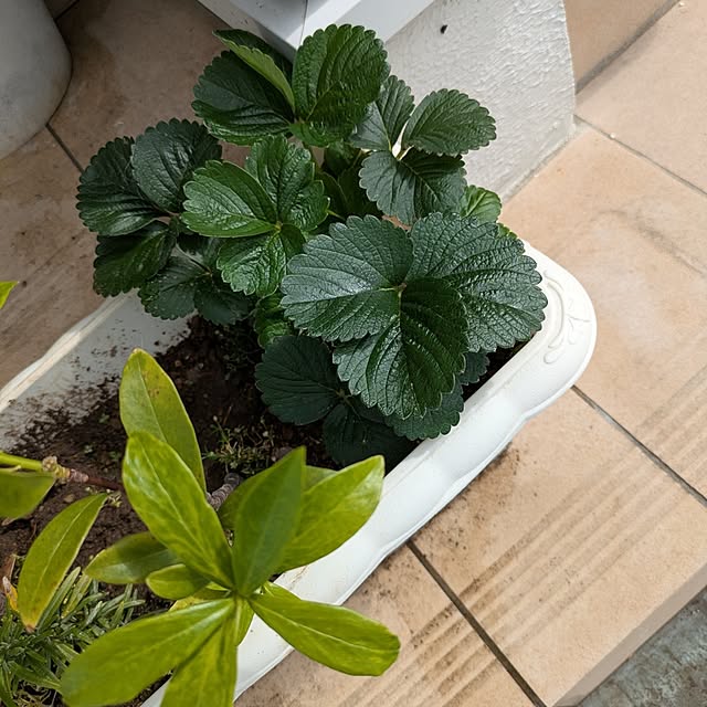 minnieさんの部屋