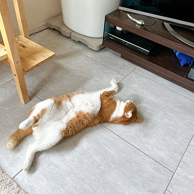 mako2yaさんの部屋