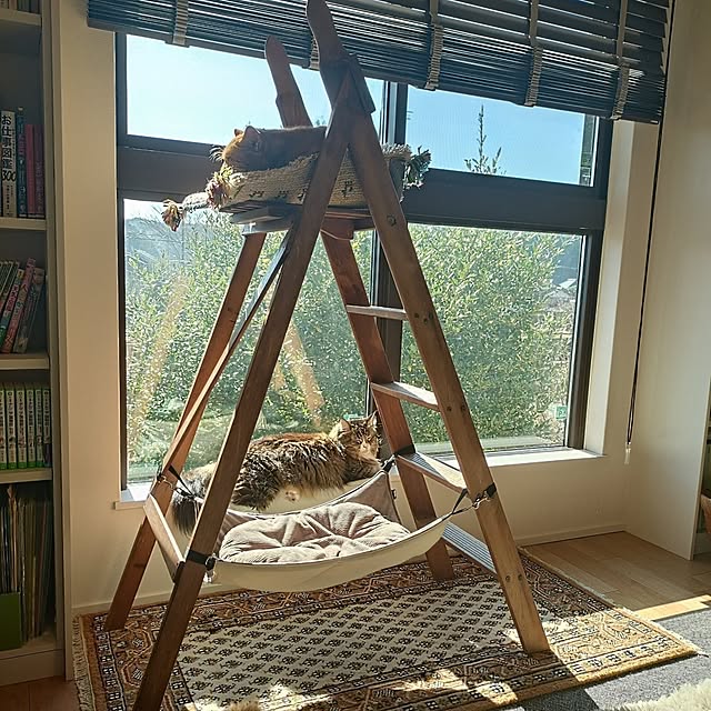 hagyu7kuroさんの部屋