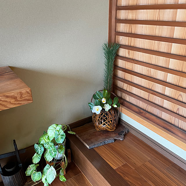 ichigoさんの実例写真