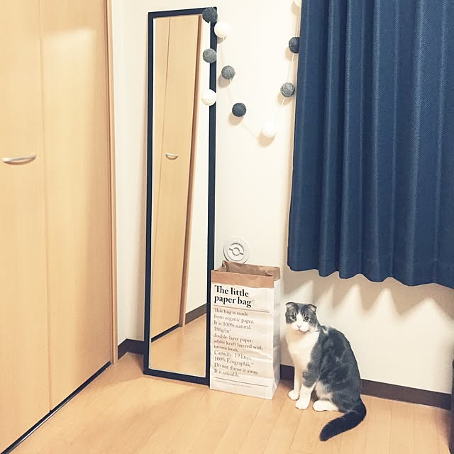 tansukeさんの実例写真