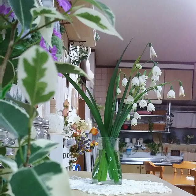 naopyiさんの実例写真