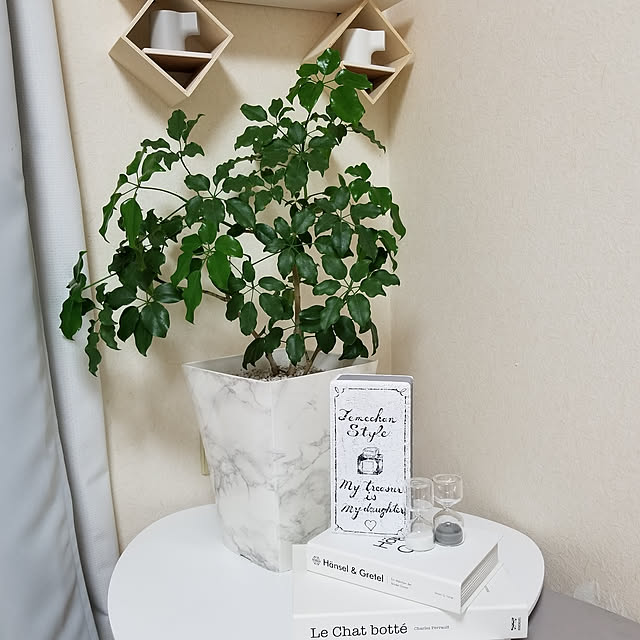 ...t_m_eee...さんの実例写真