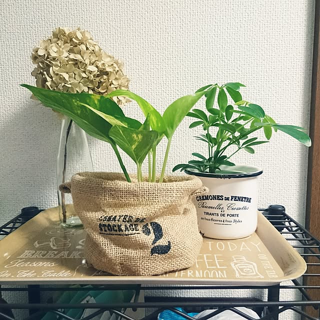 take-maさんの実例写真