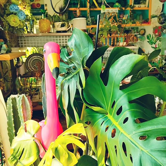 nacchanさんの部屋