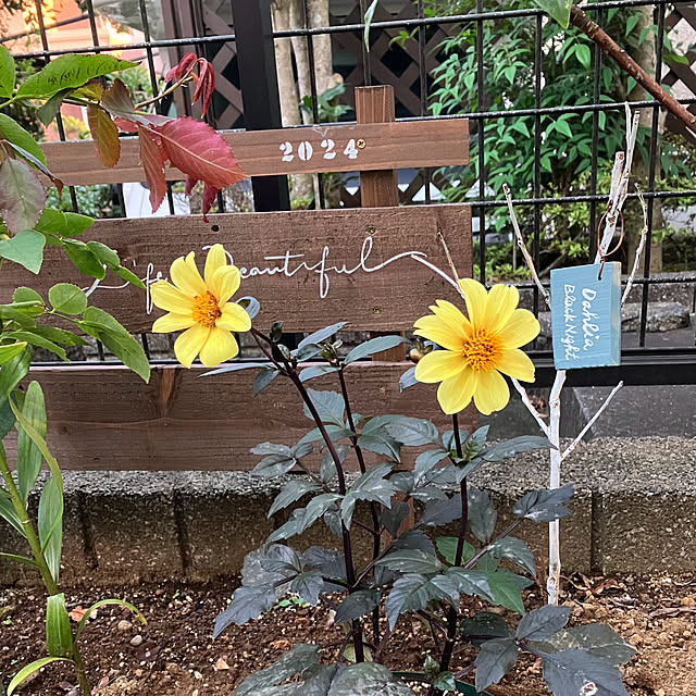 maron915さんの実例写真