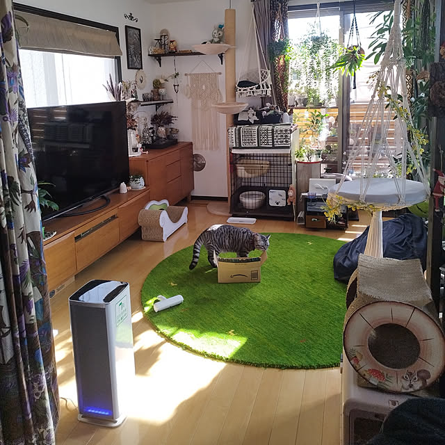 hiro3さんの実例写真