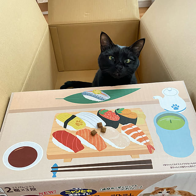 ニャンとも清潔トイレ/ねこと暮らす/猫のいる暮らし/猫ちゃん想い/猫トイレ...などのインテリア実例 - 2022-12-14 21:43:55