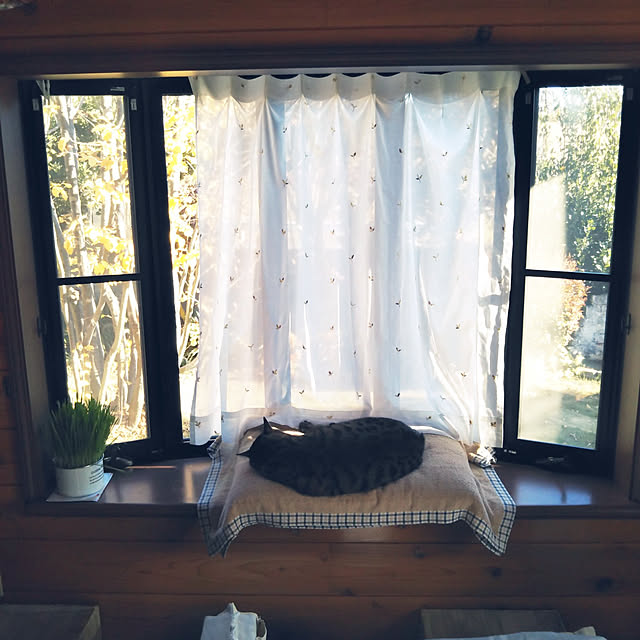 sho.27.yuki.11さんの実例写真