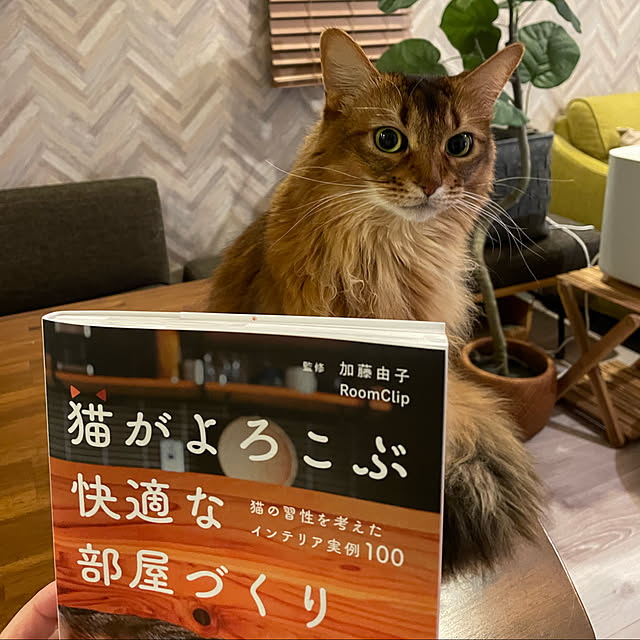puniyumiさんの実例写真