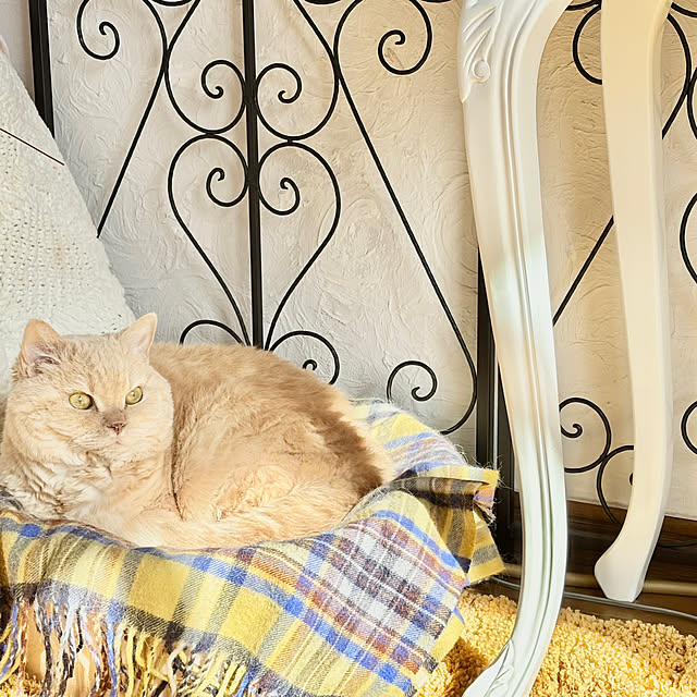 naokoさんの部屋