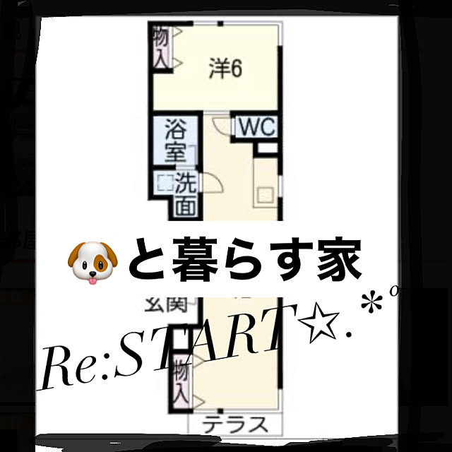 実例写真