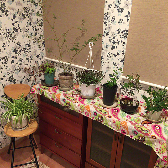部屋全体のインテリア実例 - 2018-11-20 00:27:46