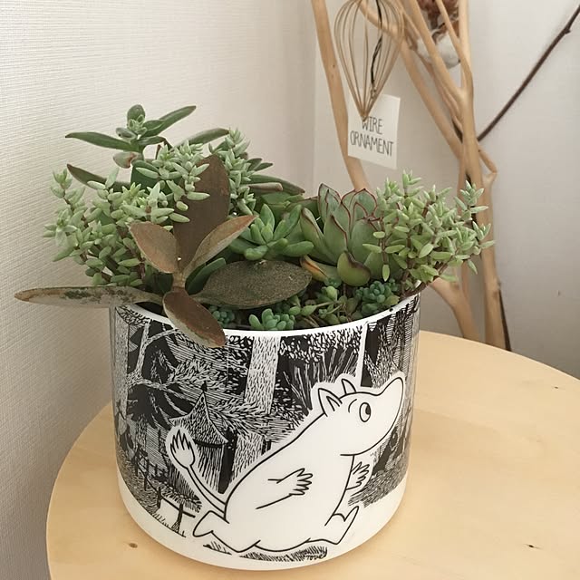 canacoさんの実例写真