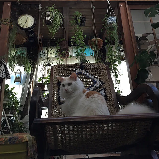 shigimiさんの実例写真