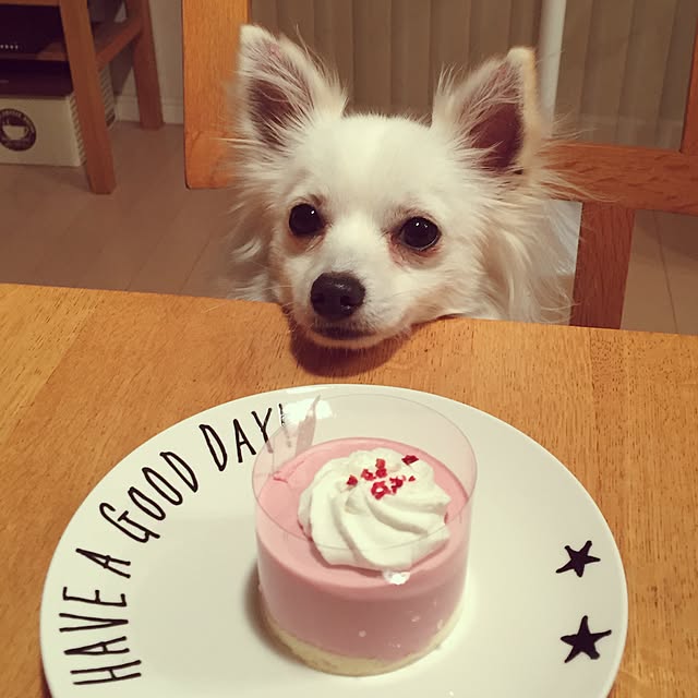 macoさんの実例写真