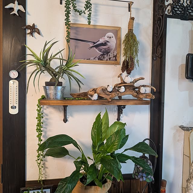 naoさんの部屋