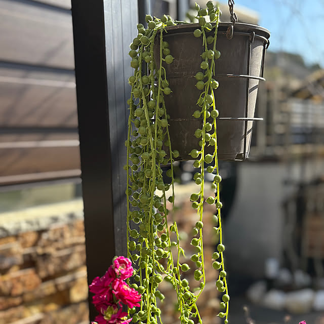 maimai0110さんの部屋