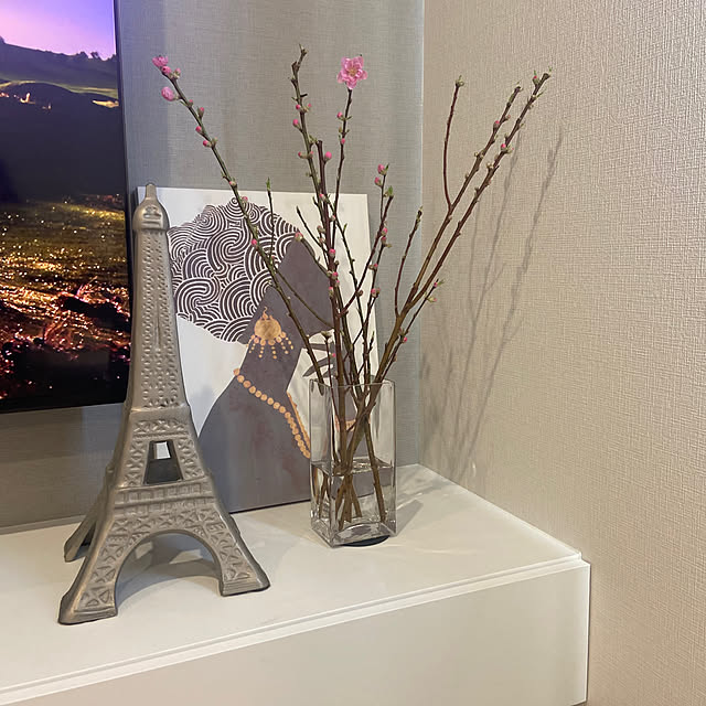 SATOEさんの部屋